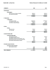 Profits et Pertes au 31.12.2022 Puce verte